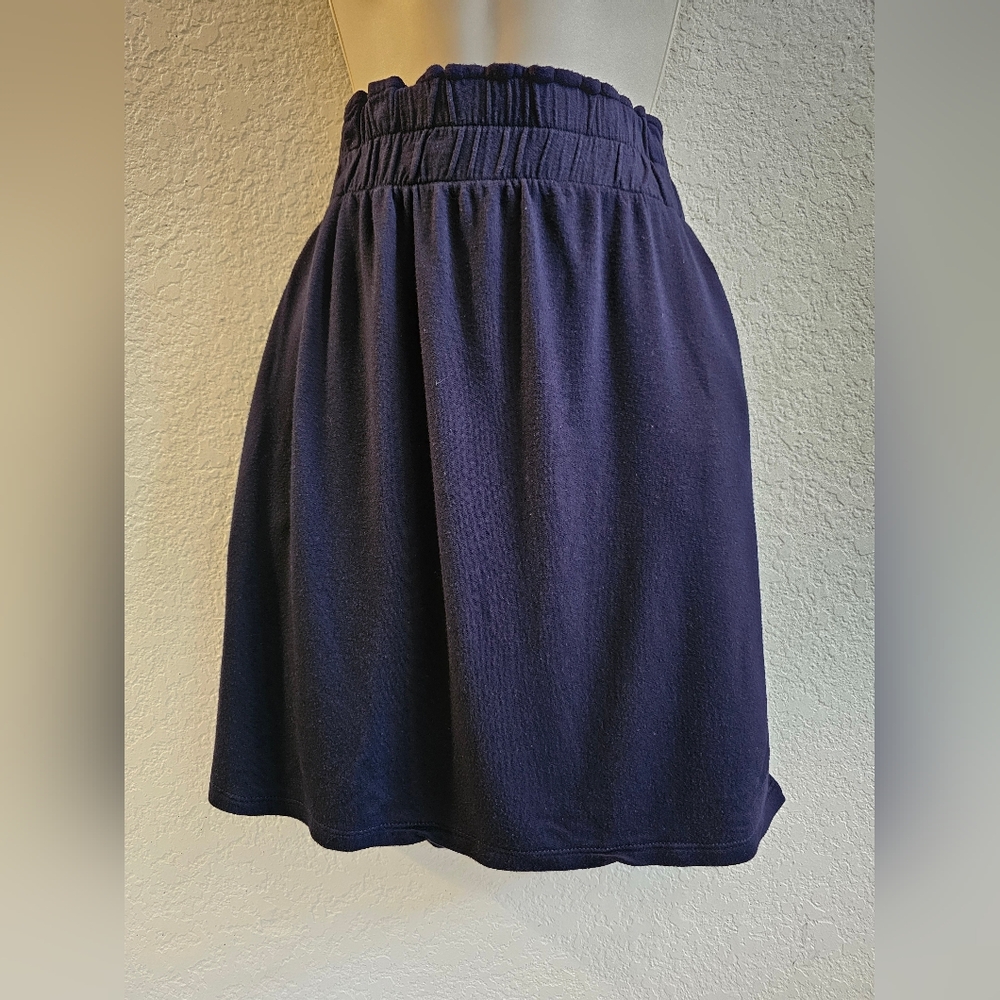 Bluesalt Skirt Navy Size 3(M-L)
